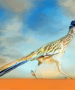 Greater Roadrunner Bird paint by numbers