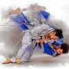 Judoka Fighters paint by numbers