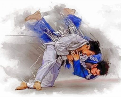 Judoka Fighters paint by numbers