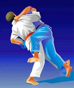 Judoka Illustrations paint by numbers