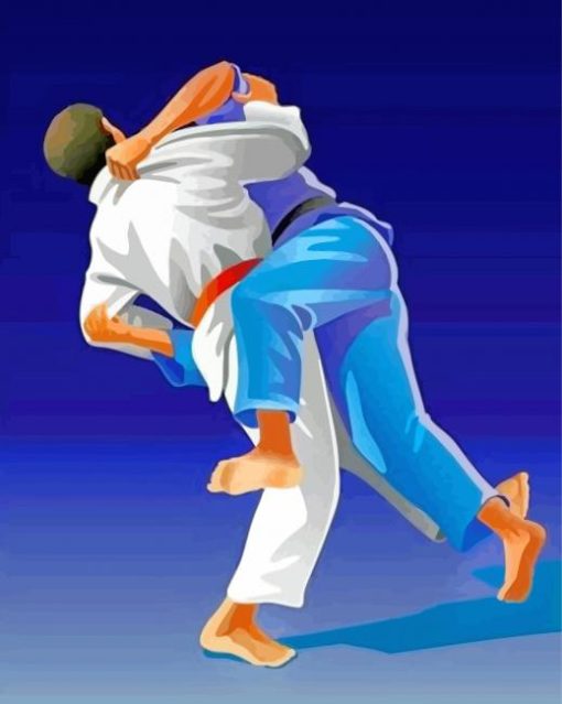 Judoka Illustrations paint by numbers