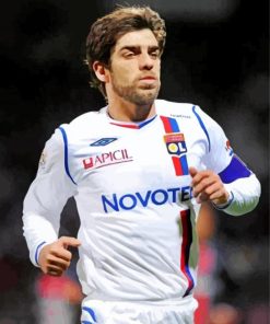 Juninho Pernambucano paint by numbers