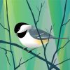 Little Chickadee Bird paint by numbers