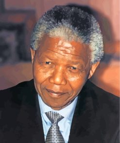 Nelson Mandela paint by numbers paint by numbers