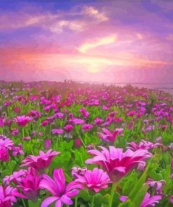 Pink Flowers Meadow paint by numbers