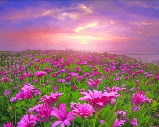 Pink Flowers Meadow paint by numbers