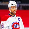 Shea Weber Habs paint by numbers