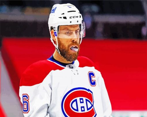 Shea Weber Habs paint by numbers