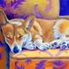 Sleepy Corgi Dog paint by numbers