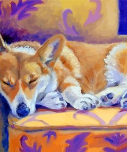 Sleepy Corgi Dog paint by numbers