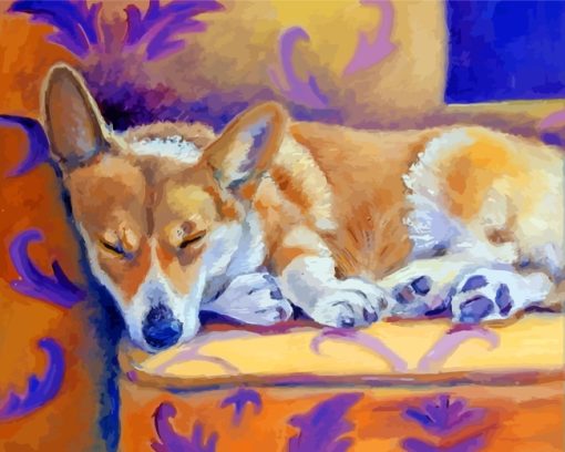 Sleepy Corgi Dog paint by numbers