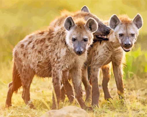 Wild Hyenas paint by numbers