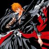 Aesthetic Ichigo Kurosaki paint by number paint by numbers