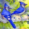 Blue Jays And Junipers paint by numbers