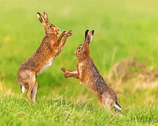 Brown Hares Boxing paint by number