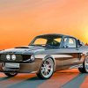 Classic Car GT500 paint by numbers