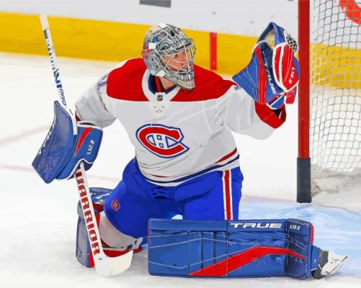 Habs Carey Price paint by numbers