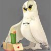 Hedwig Bird paint by numbers