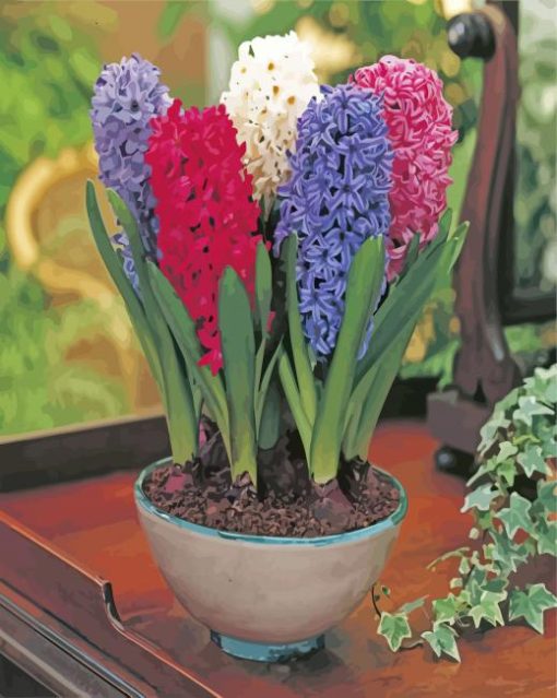 Mixed Hyacinth Bulbs paint by numbers