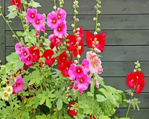 Red And Pink Holylocks Flowers paint by numbers