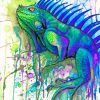 Splatter Iguana paint by numbers