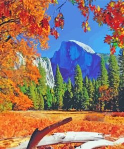 Yosemite National Park In Fall paint by numbers