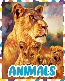 Animals