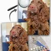 Custom Paint By Numbers​ Pets