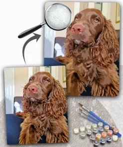 Custom Paint By Numbers​ Pets