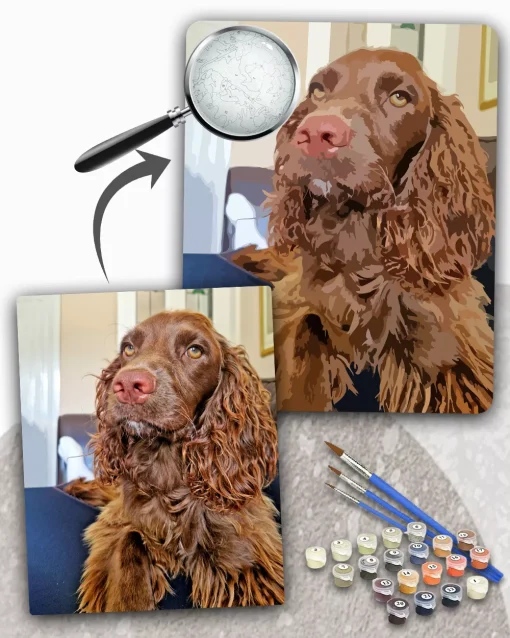 Custom Paint By Numbers​ Pets