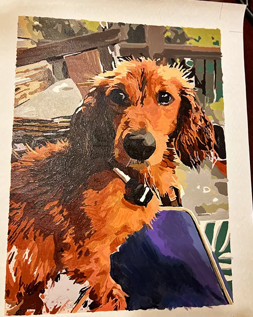 Custom Paint By Numbers​ Pets rev 4