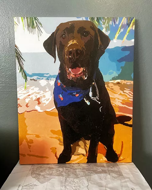 Custom Paint By Numbers​ Pets rev 6