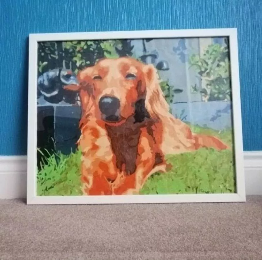 Custom Paint By Numbers​ Pets rev 7