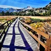 Painting By Numbers Custom​ Landscape galll 3